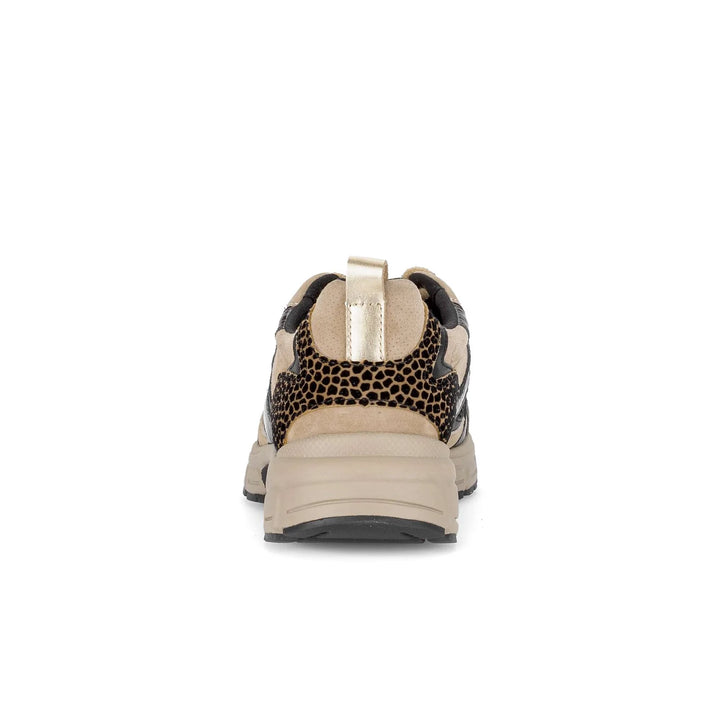 Gabor 6005.01